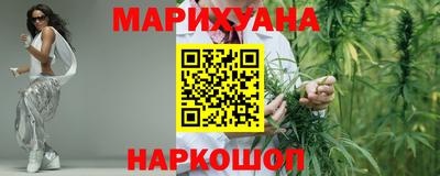 индика Лесосибирск