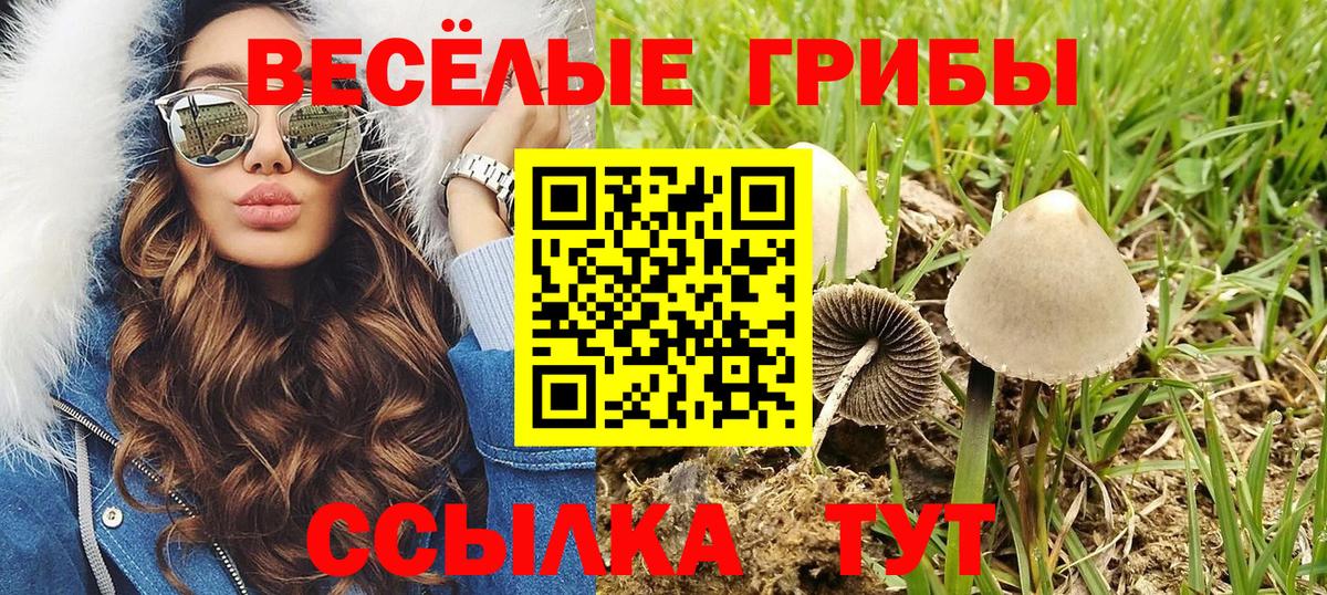 дарнет шоп  Псилоцибиновые грибы ЛСД  Галлюциногенные грибы MAGIC MUSHROOMS  Вход с VPN  Городец 